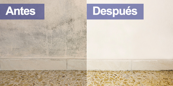 banner antes y despues
